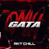 GATA ONLY (RKT CHILL) - BRAIIAN DJ