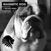 Magnetic Dog (Trevino Remix) - Alan Fitzpatrick&Trevino&Dave Robertson