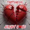 Already Gone - Tiny Tuness