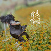 月老作怪 - 丘沛宸