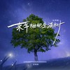 来年枇杷生满树（不舍得因果） - 恋特特