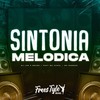 Sintonia Melodica (Explicit) - DjLzr o Brabo&FreesTyle Sounds&Mc Carol&MC Bombom