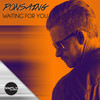 Waiting for You (Original Mix) - Ponsaing