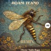 Banggai (r0bxtar Remix) - Hoani Teano&CamelVIP&R0bxtar