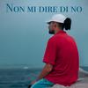 NON MI DIRE DI NO - Demo Mc