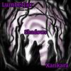 Shadows (feat. Xankara) - LumberJax&xankara