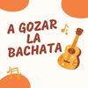 Vueltas y Vueltas - Odilio Gonzales