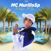 Minha Meta - MC Murillo Sp&DJ Biel Mix