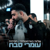 שלווה בארמונותייך & תפילות - Omri Sabach