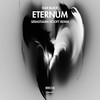 Eternum (Sebastiaan Hooft Remix) - Slim Black&Sebastiaan Hooft