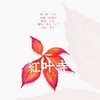 红叶寺 (Single Version) - 雪澈Lin