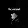 Promised - C Note