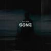 Gone - silent anthem