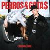 PERROS&GATA$ - Nicki Nicole&Saiko