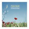 Darn that Dream (feat. Lo van Gorp) - Tom Beek&Lo van Gorp