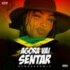 MELÔ DE AGORA VAI SENTAR (feat. Junior Plex) - Igor Producer&Junior plex