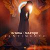 Sentimento - Dj Goja&Suleymer