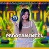 Pedotan Intel - Adinda Rahma