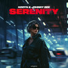 Serenity - KODYN&Johnny Bee&Zsolt Szepesi&Jan Barta&Peter John Kiss