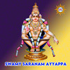 Swamy Saranam Ayyappa - Sai Charan