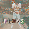 Flows (Explicit) - MJD