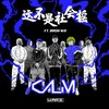 群星-Warz-这不是社会摇 (Calmer Bootleg) (CalmerDubz Remix) - CalmerDubz