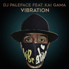 Vibration (Explicit) - DJ Paleface&Kai Gama