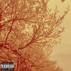honor roll (feat. kimora) (Remix|Explicit) - ajay&Kimora