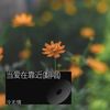 当爱在靠近 (cover: 刘若英) - 冷无情