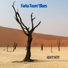 Farka Toure' blues - Aidan Martin