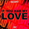 If You Had My Love (feat. Zolie) - Solo Suspex&Zolie