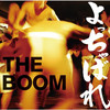 歌いたくない夜 - The Boom