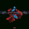 Down For Me(JNGL VRSN) - Lost City&Michele Wylen