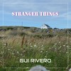 Stranger Things - Gui Rivero