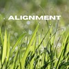 Alignment - Activation&Equanimous