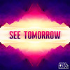 See Tomorrow - Paul Manx