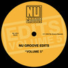 Fort Green House (Daniel Steinberg Edit) - N.Y. House'n Authority