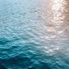 Ocean - Chill Life