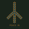 Peace In - Vanek Foundation&Brother Culture