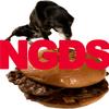 NGDS (Explicit) - Mishii