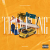 Traveling (Explicit) - Bizzy Money&King Kou