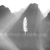 Mystery - Toprak Baris&Emre Yüksel&Green Baker