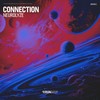 Connection - Neurolyze