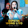 Dipetik Wong Liyo - Diva Hani