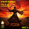 Snake Fu (Pete Salaz Tai Chi Chuan Edit) - DeWayne McDaniels&Pete Salaz&2024 DeWayne McDaniels