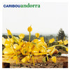 Sundialing - Caribou