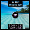 Missing You - DJ Ter