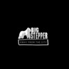 It's Crazy (feat. Stanlo, Big Baby & KO) (Explicit) - Loyalty Mafia Family&Stanlo&Big Baby&KO