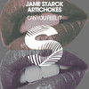 Can You Feel It (Extended Mix) - Jame Starck&Artichokes