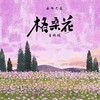 格桑花吉他版 - 曲木老表